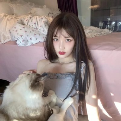 寻秦记 封面