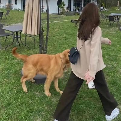 天涯小娘惹2 封面